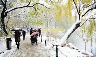 刀郎乌鲁木齐演唱会